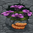 Honey Hunters Purple